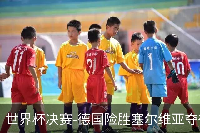 世界杯决赛-德国险胜塞尔维亚夺得世界杯冠军